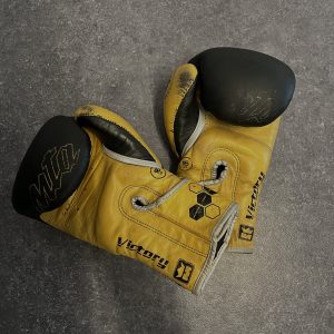 IMAGE-GANTS-2
